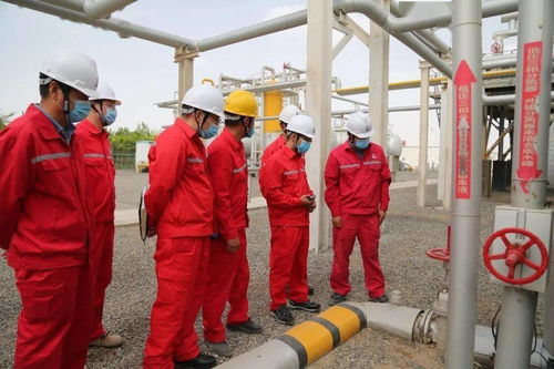 集团公司设备检查组深入采油二厂开展专项检查，关注木竹采伐机械制造领域应用