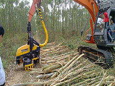 美鹏Mapper赋能林业采伐 驱动木竹采伐机械制造的智能化升级